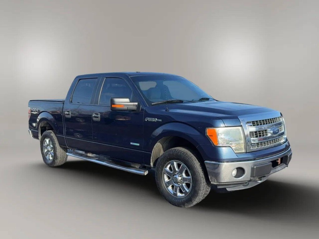 2013 Ford F-150 Image 8