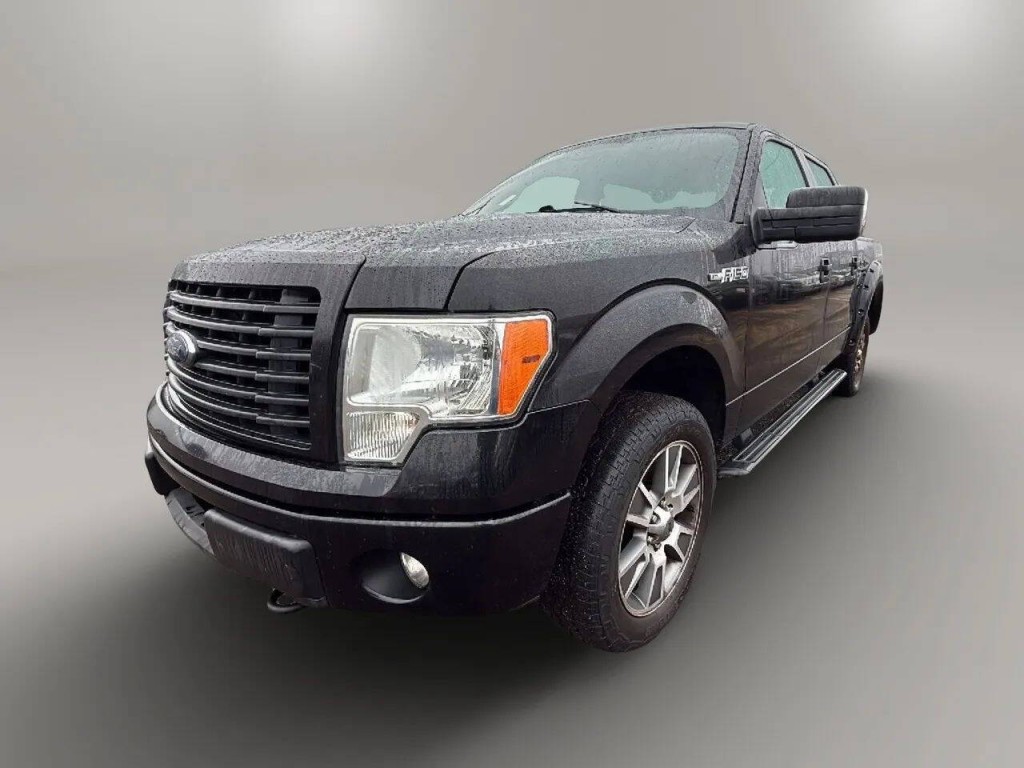2014 Ford F-150 Image 1
