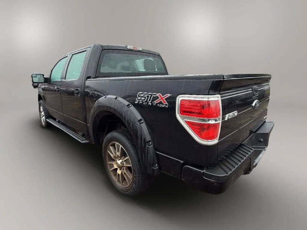2014 Ford F-150 Image 3