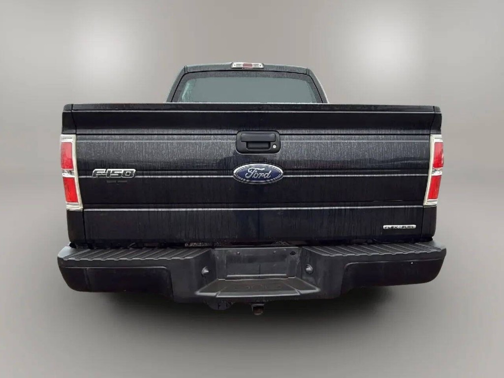 2014 Ford F-150 Image 4