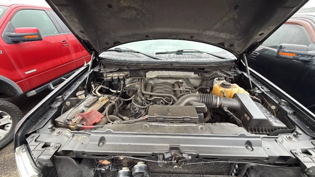 2014 Ford F-150 Image 19