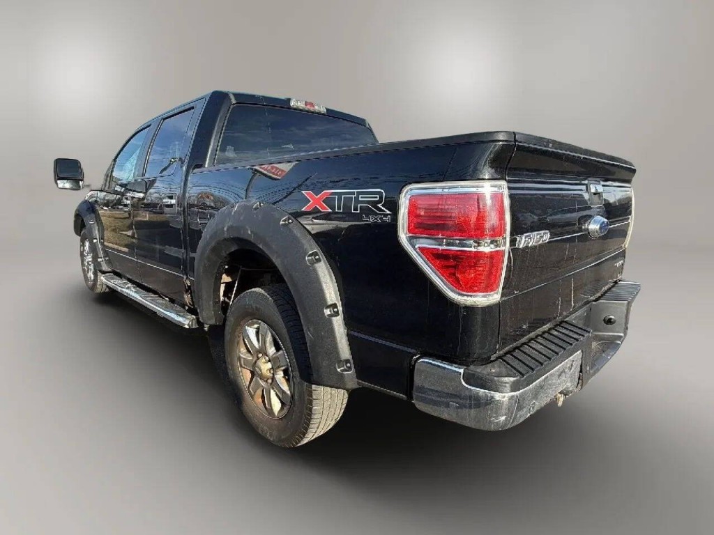 2013 Ford F-150 Image 3