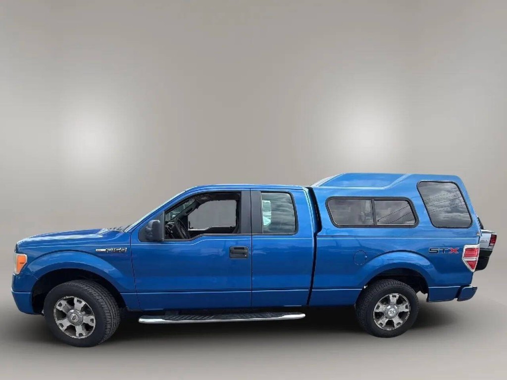 2010 Ford F-150 Image 2