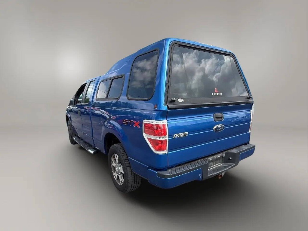 2010 Ford F-150 Image 3