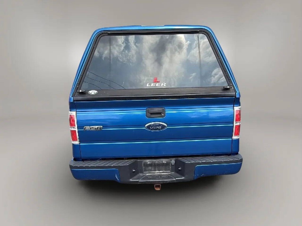 2010 Ford F-150 Image 4