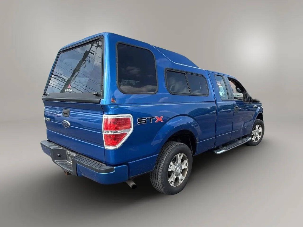 2010 Ford F-150 Image 5