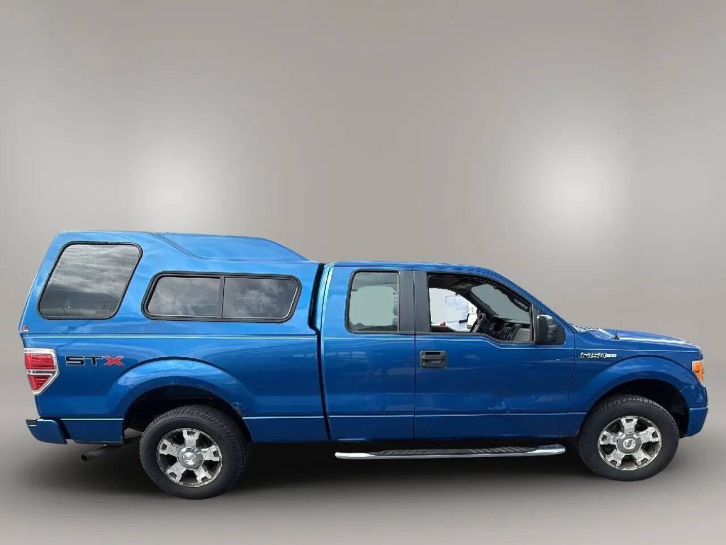 2010 Ford F-150 Image 6