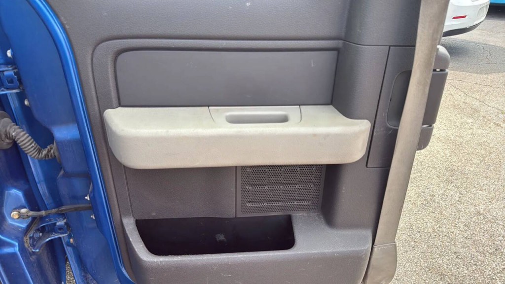2010 Ford F-150 Image 11