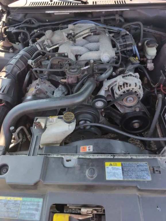 2004 Ford Mustang Image 11