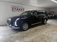 Image for 2025 Hyundai Palisade SEL ID: 6653735