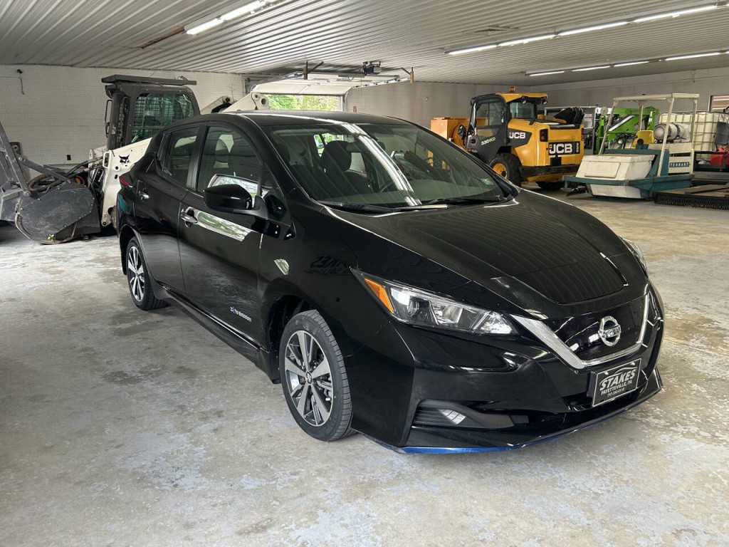 2019 Nissan Leaf Image 3