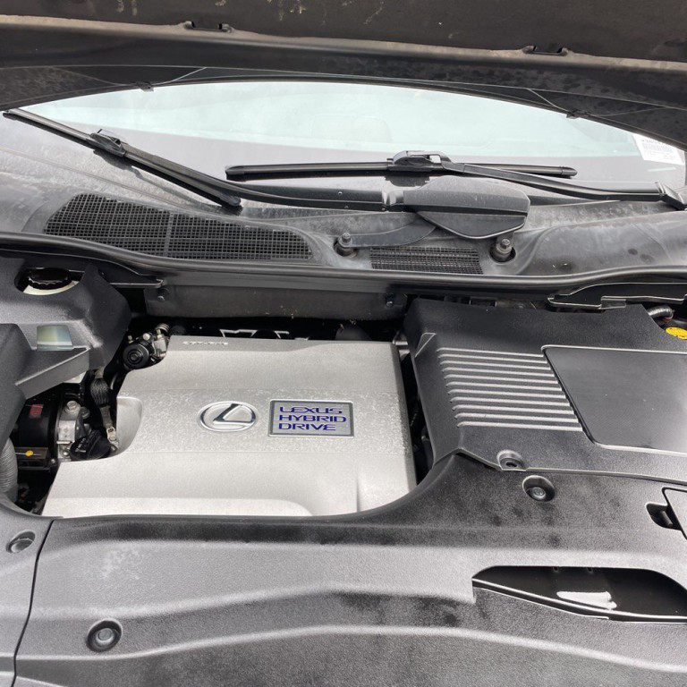 2010 Lexus RX Image 23