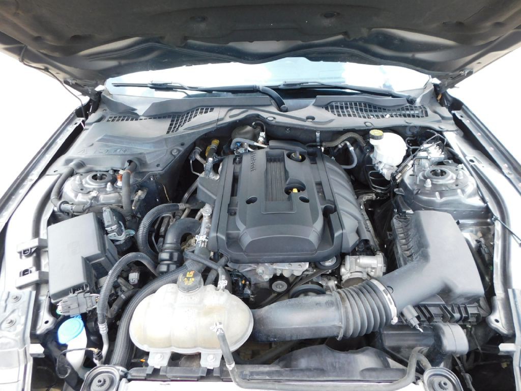 2020 Ford Mustang Image 11