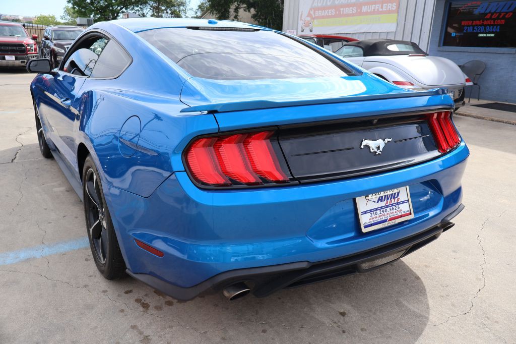 2019 Ford Mustang Image 5