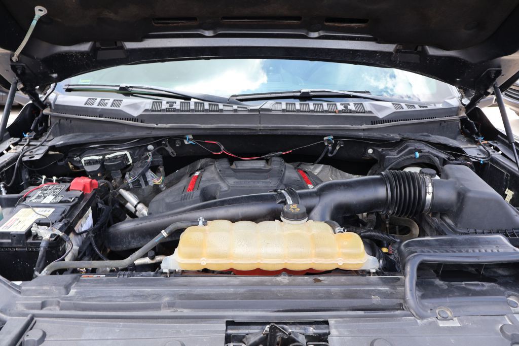 2019 Ford F-150 Image 13