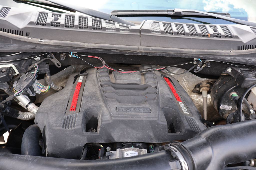 2019 Ford F-150 Image 14