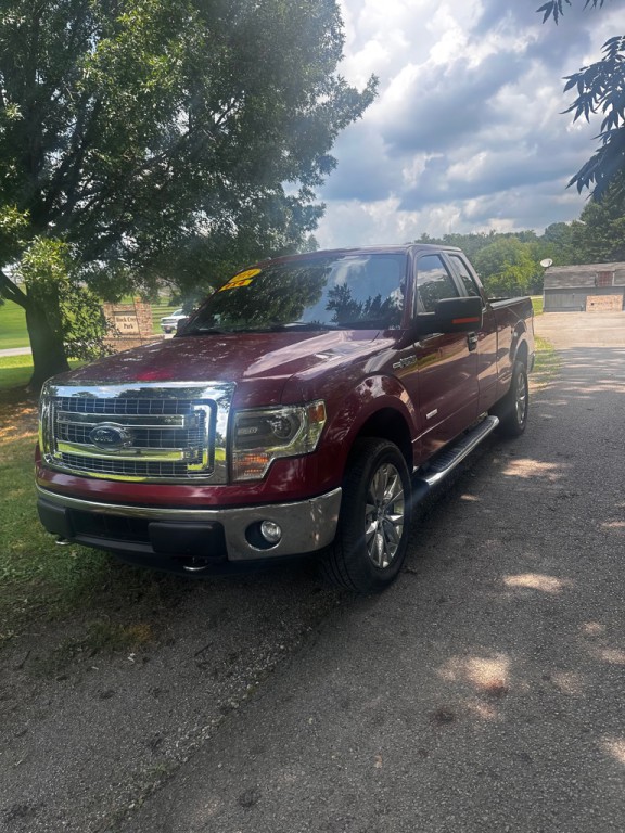 2014 Ford F-150 Image 3