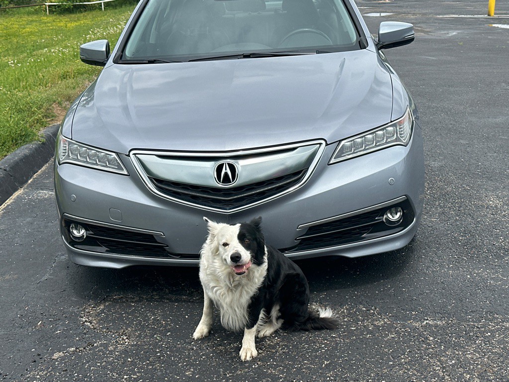 2015 Acura TL Image 35