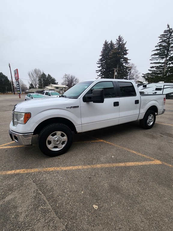 2014 Ford F-150 Image 3