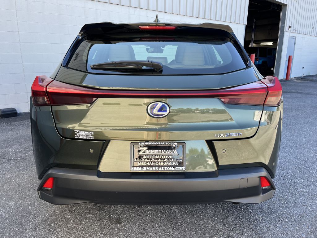 2019 Lexus UX Image 4