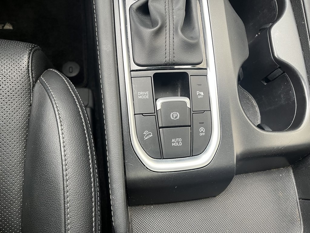 2019 Hyundai Santa Fe Image 30