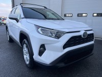 Image for 2020 Toyota Rav4 XLE ID: 7281620