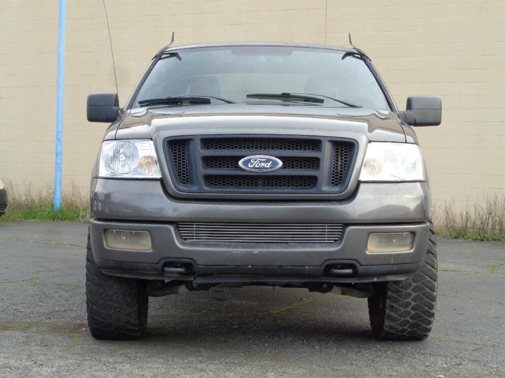 2005 Ford F-150 Image 3