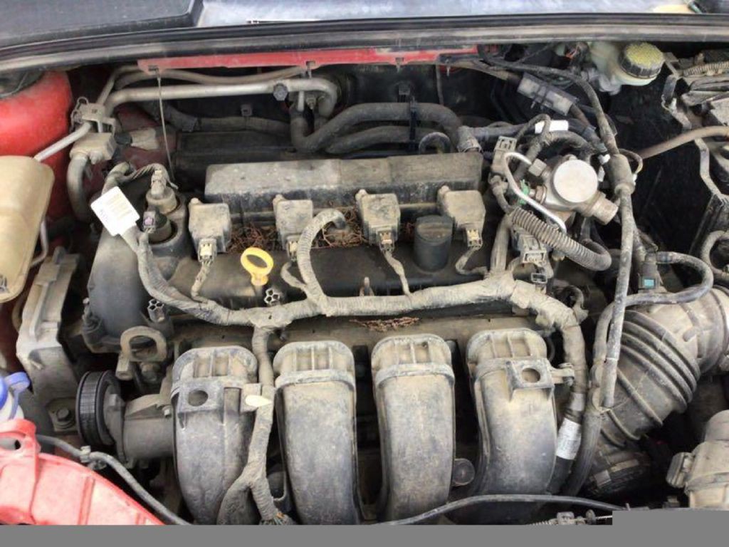 2016 Ford Focus Image 3