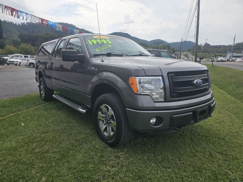 2013 Ford F-150 Image 3