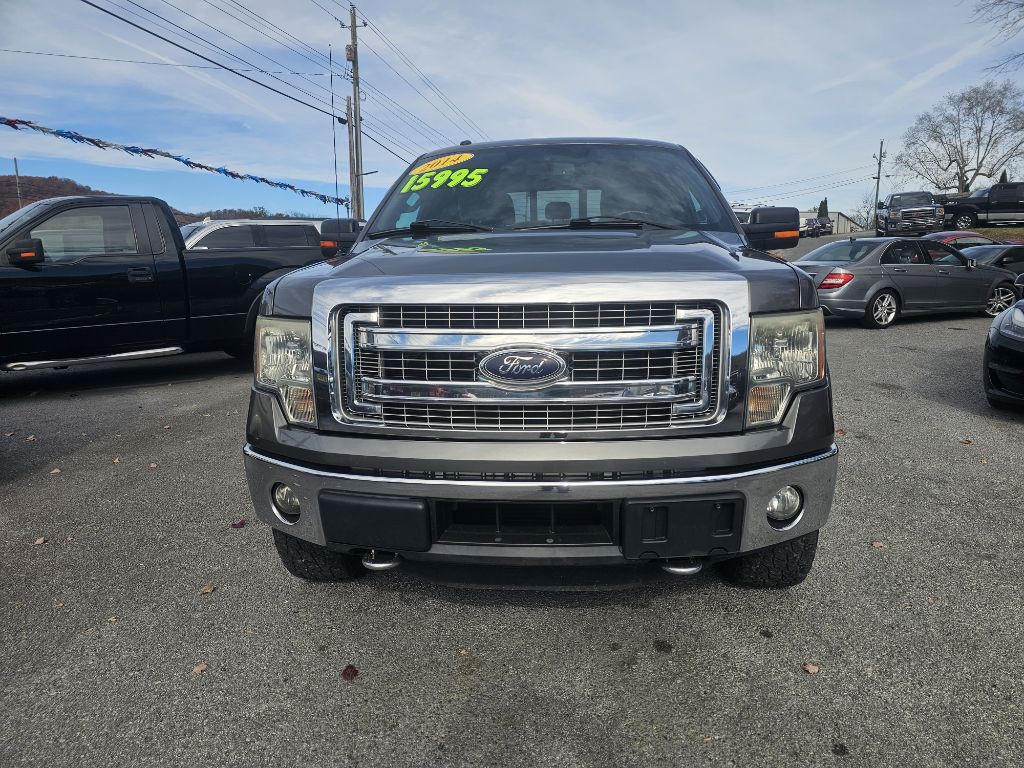 2014 Ford F-150 Image 2