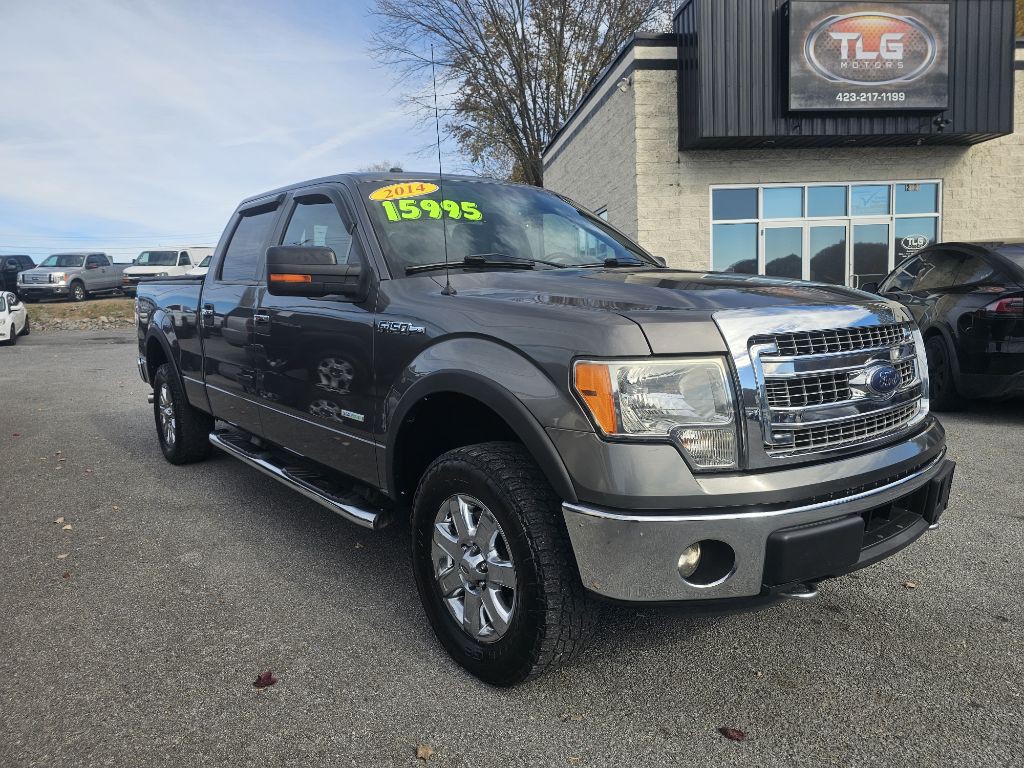 2014 Ford F-150 Image 3