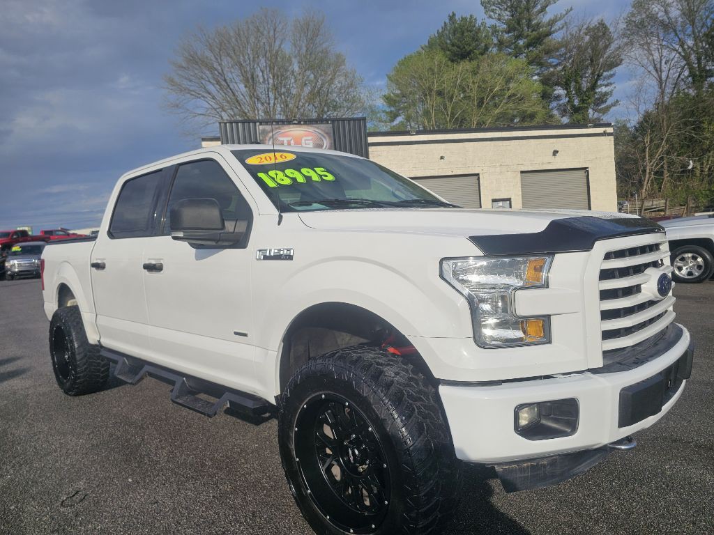 2016 Ford F-150 Image 3