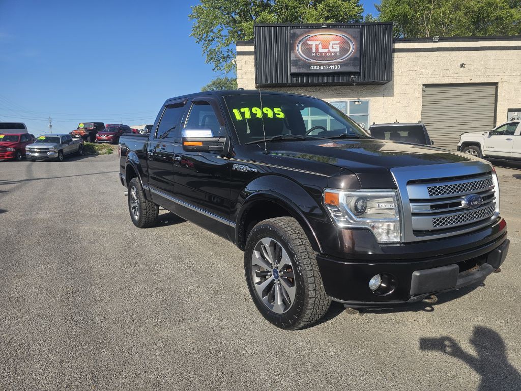 2013 Ford F-150 Image 3