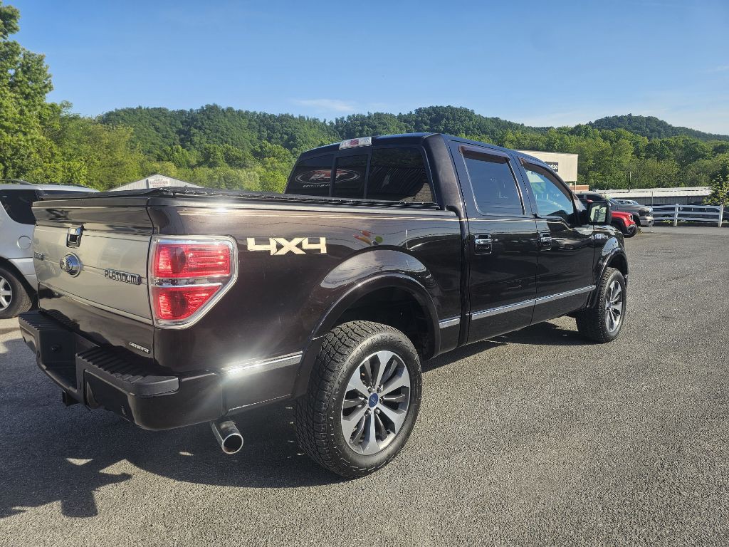 2013 Ford F-150 Image 4