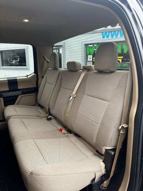 2019 Ford F-150 Image 11