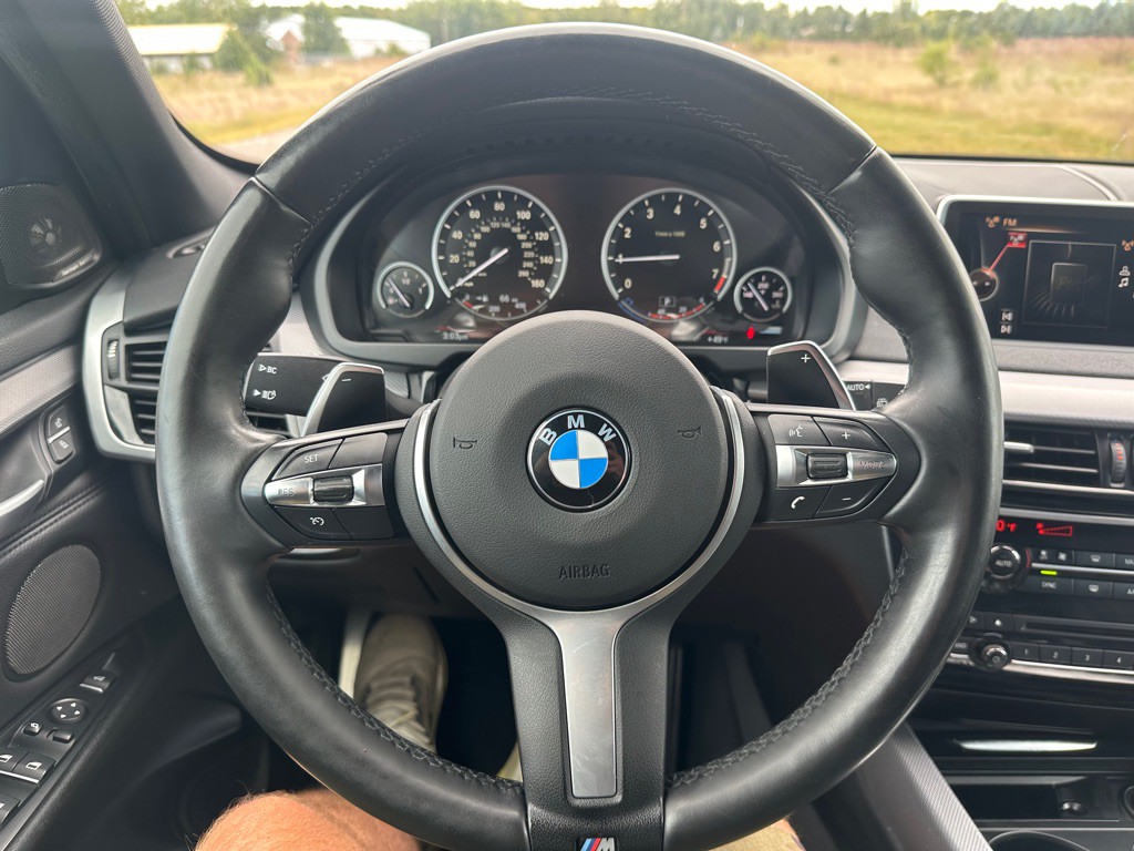 2016 BMW X5 Image 14