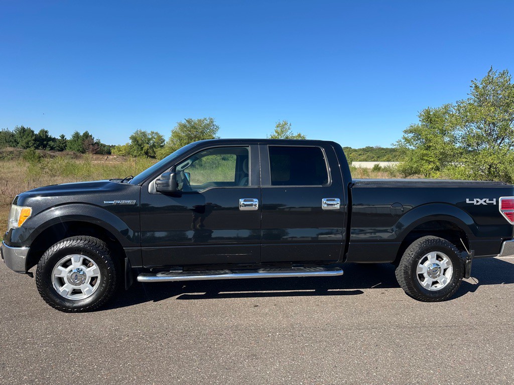 2010 Ford F-150 Image 2