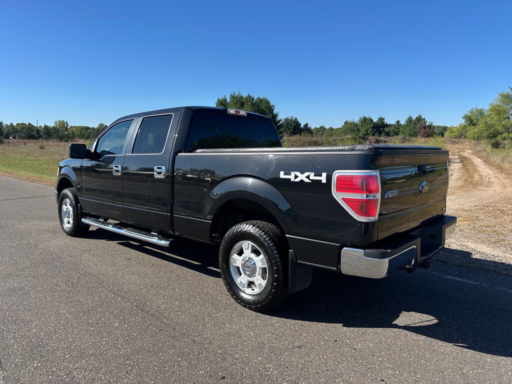 2010 Ford F-150 Image 3