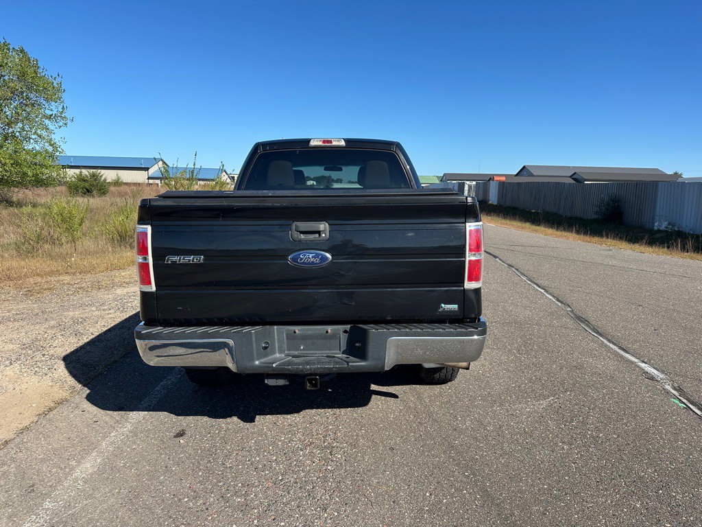 2010 Ford F-150 Image 4