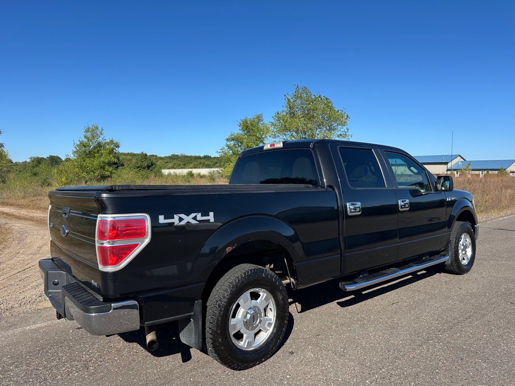 2010 Ford F-150 Image 5