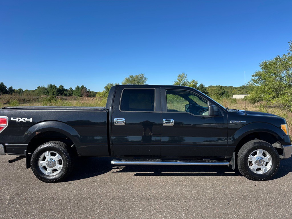 2010 Ford F-150 Image 6