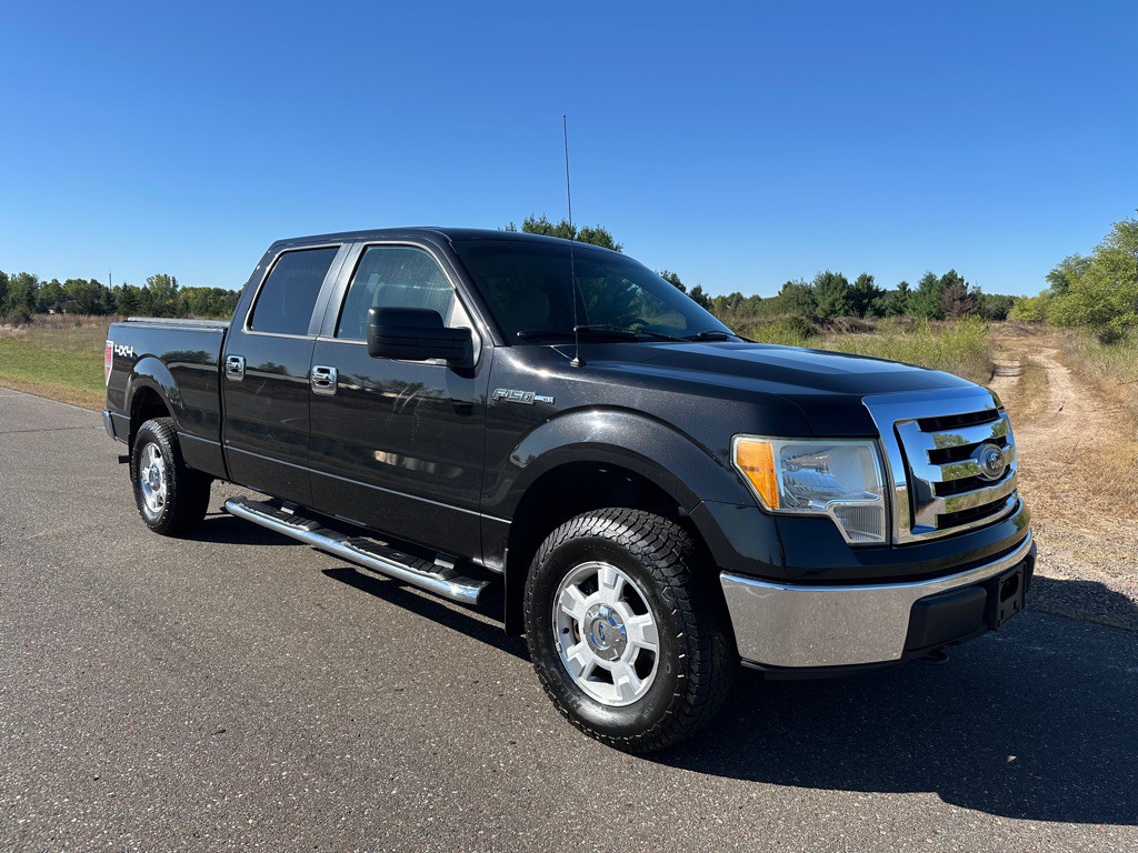 2010 Ford F-150 Image 7