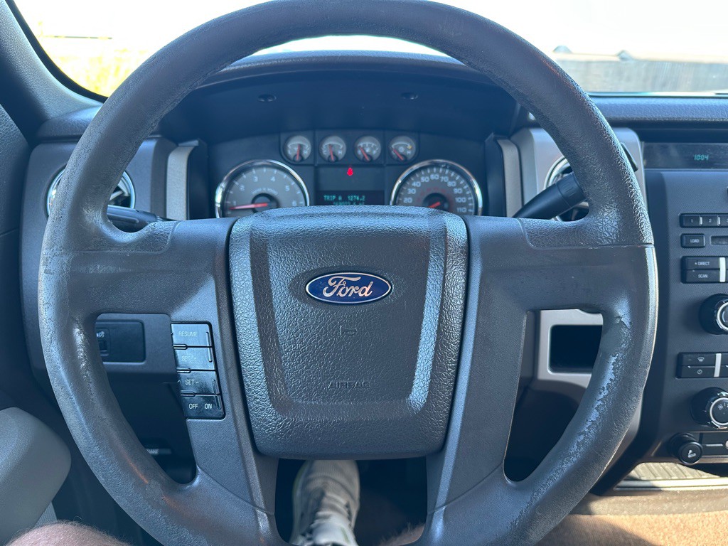 2010 Ford F-150 Image 12