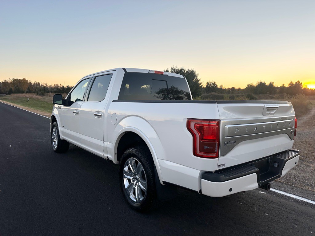 2015 Ford F-150 Image 3