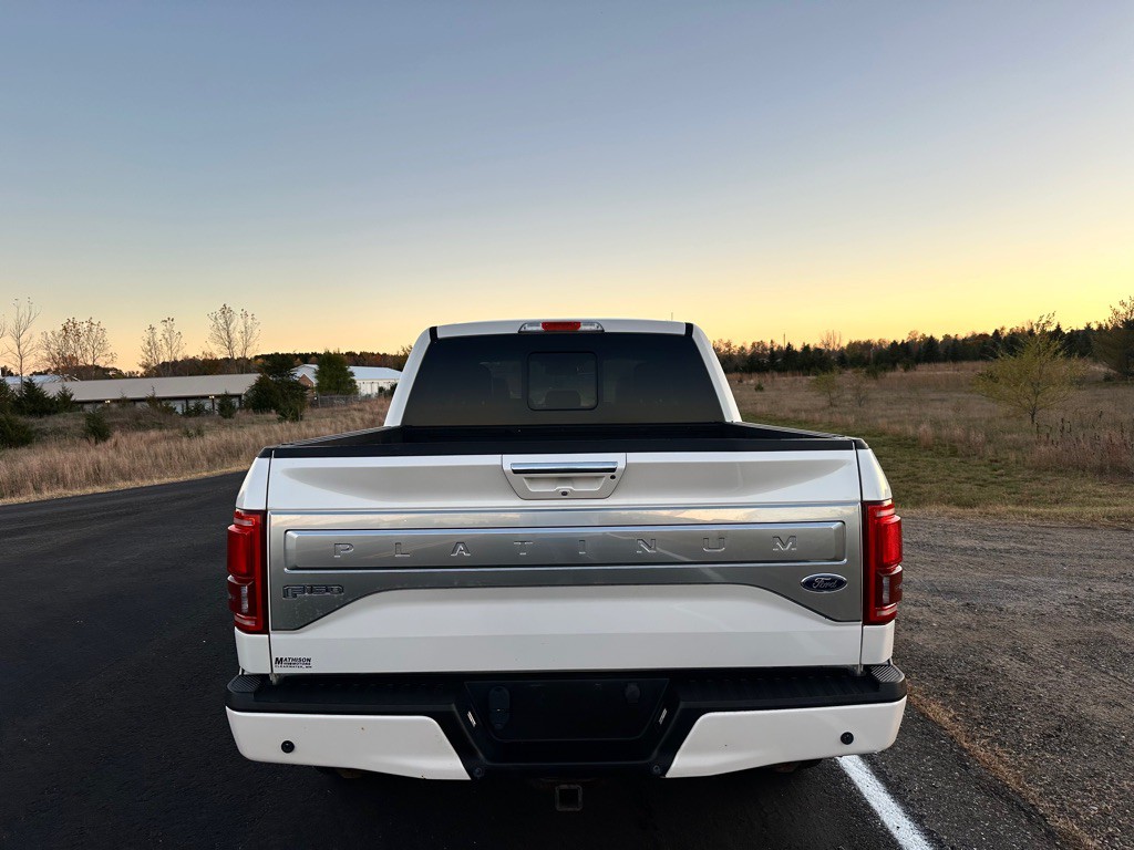 2015 Ford F-150 Image 4