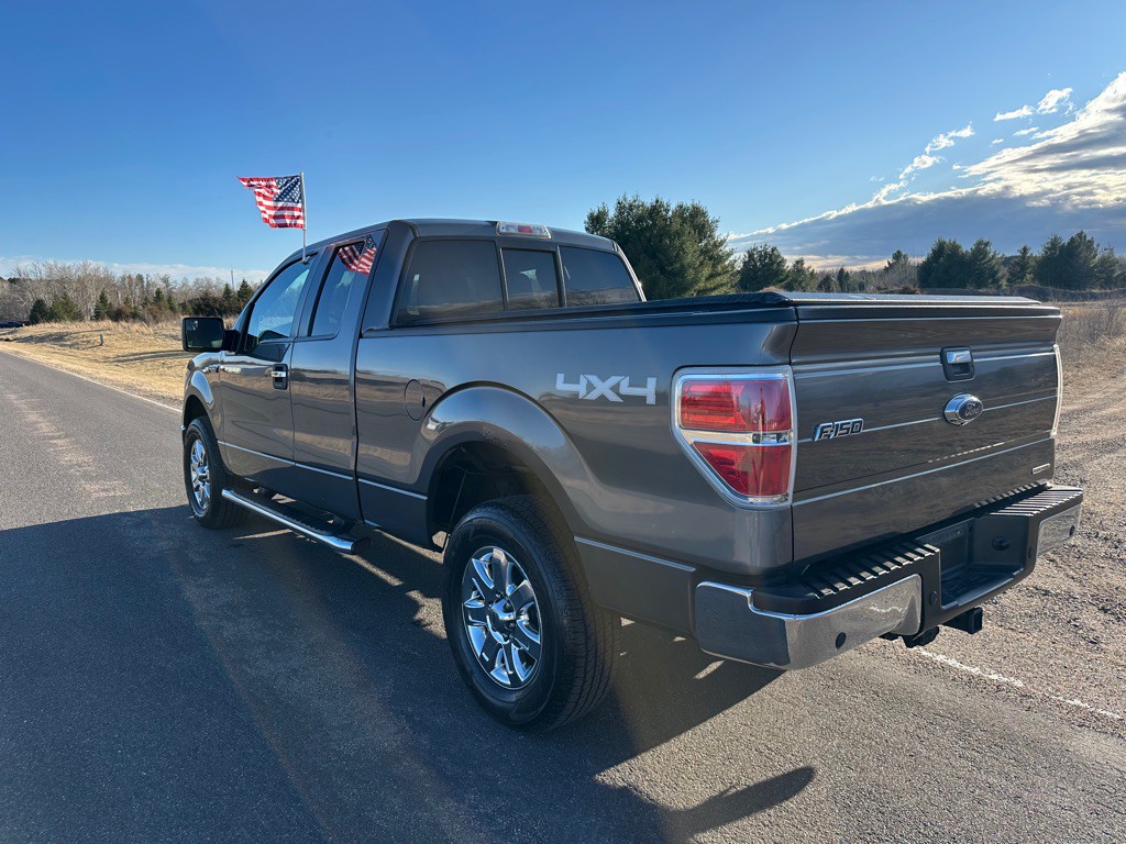 2014 Ford F-150 Image 3