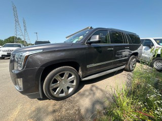 Image for 2018 Cadillac Escalade Esv Luxury ID: 6560838