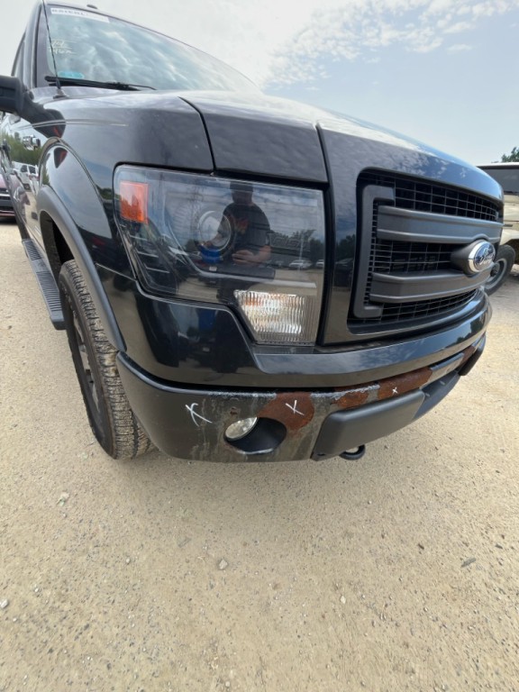 2014 Ford F-150 Image 5