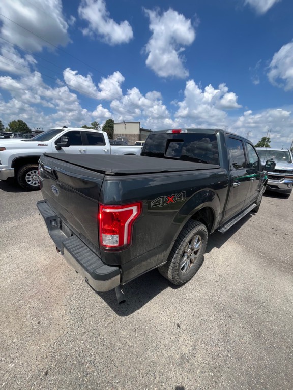 2015 Ford F-150 Image 5