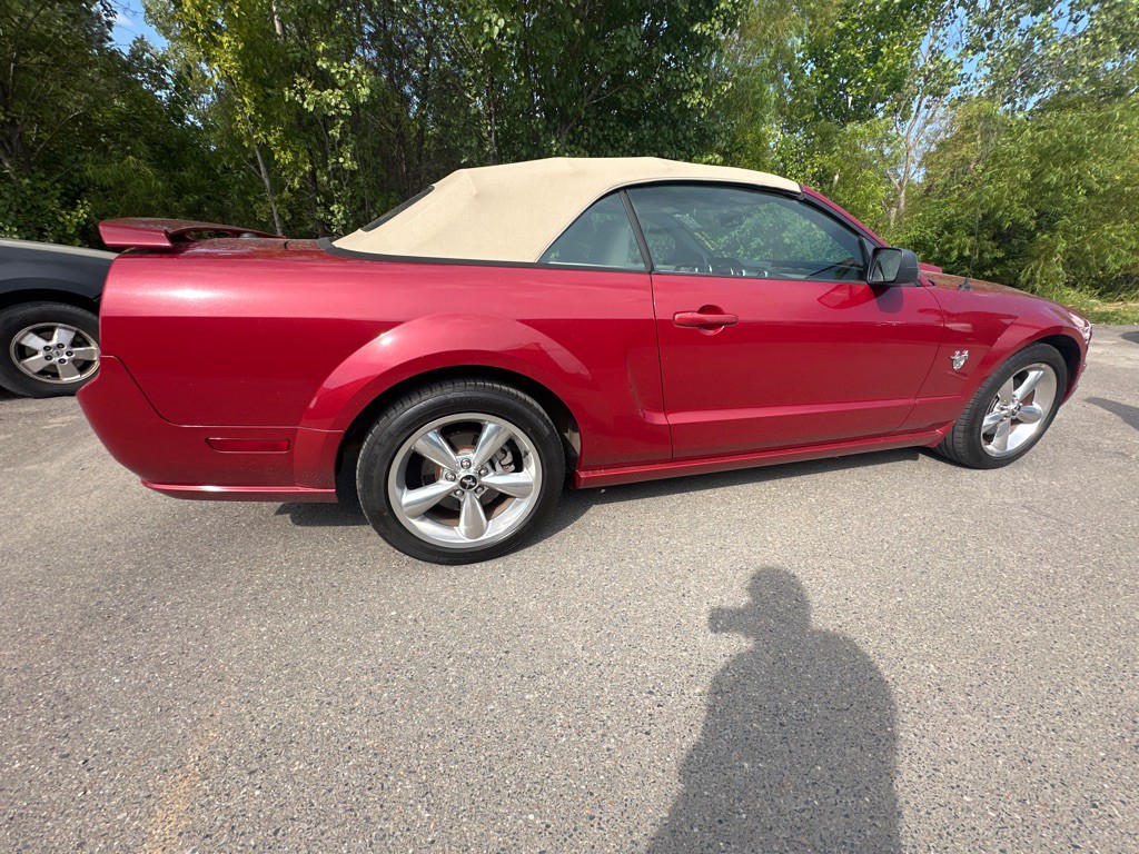 2009 Ford Mustang Image 4